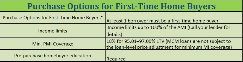 Purchase Options for First Time Home Buyers